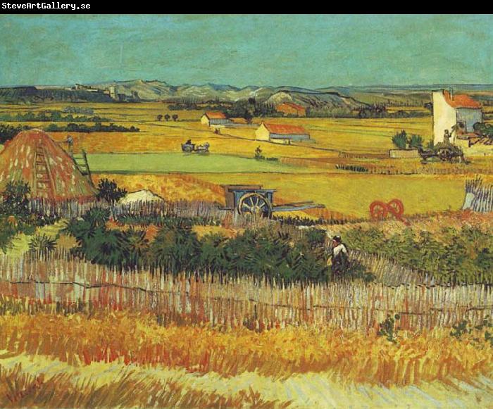 Vincent Van Gogh The Harvest, Arles